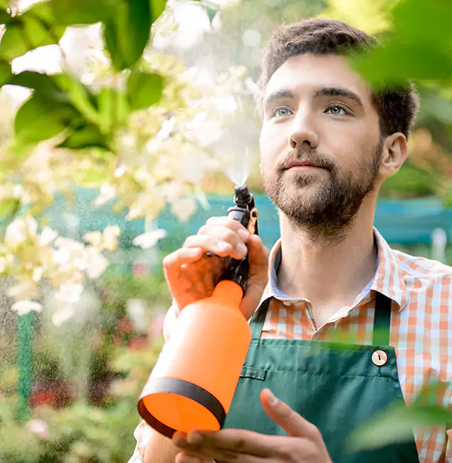 Why Montclair Homeowners Call Montclair Pest Control Pro for Mosquitoes in House?