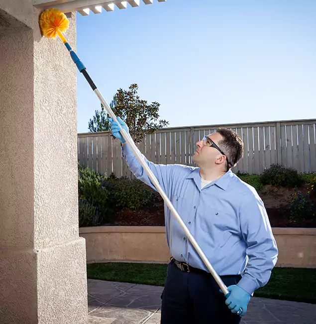 Why Choose Montclair Pest Control Pro for Pest Control Services in Montclair, NJ?