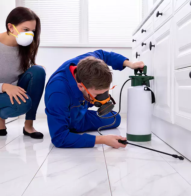 Why Choose Wood Termite Treatment by Montclair Pest Control Pro in Montclair, NJ?
