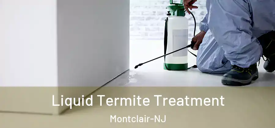  Liquid Termite Treatment Montclair-NJ