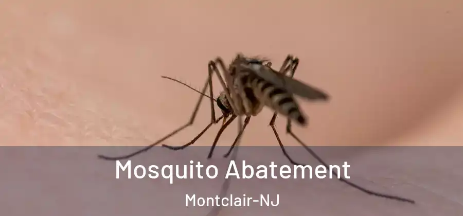  Mosquito Abatement Montclair-NJ