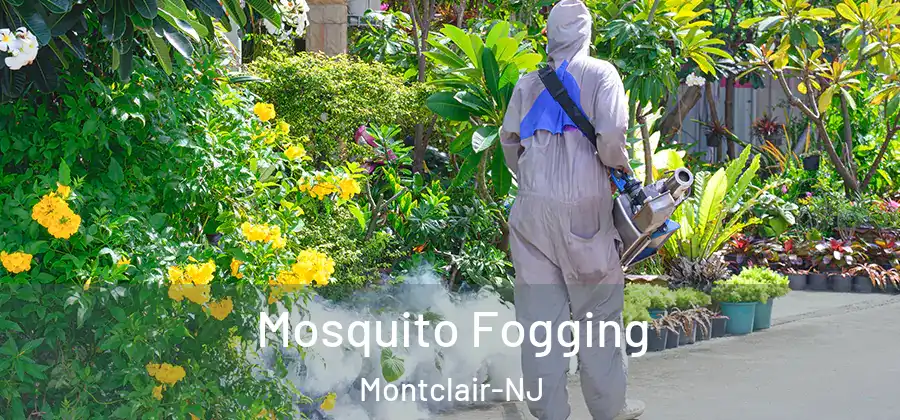 Mosquito Fogging Montclair-NJ