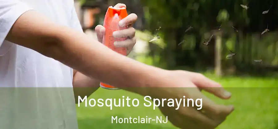  Mosquito Spraying Montclair-NJ