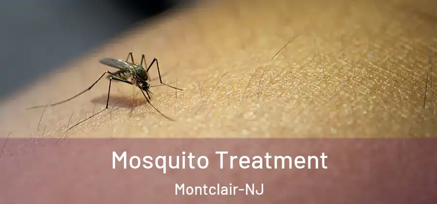 Mosquito Treatment Montclair-NJ