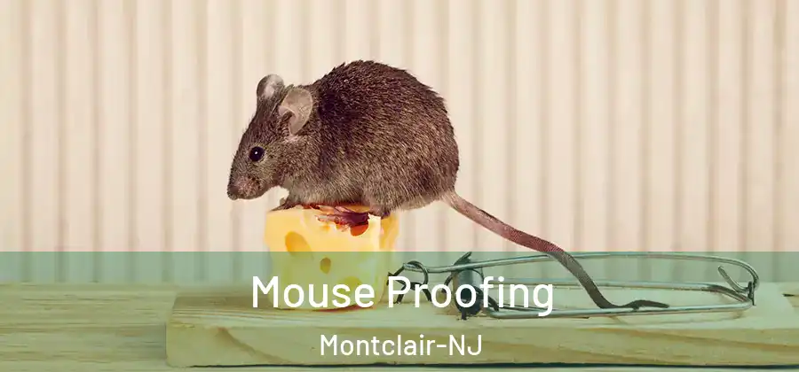 Mouse Proofing Montclair-NJ
