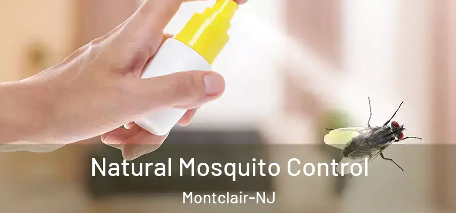  Natural Mosquito Control Montclair-NJ