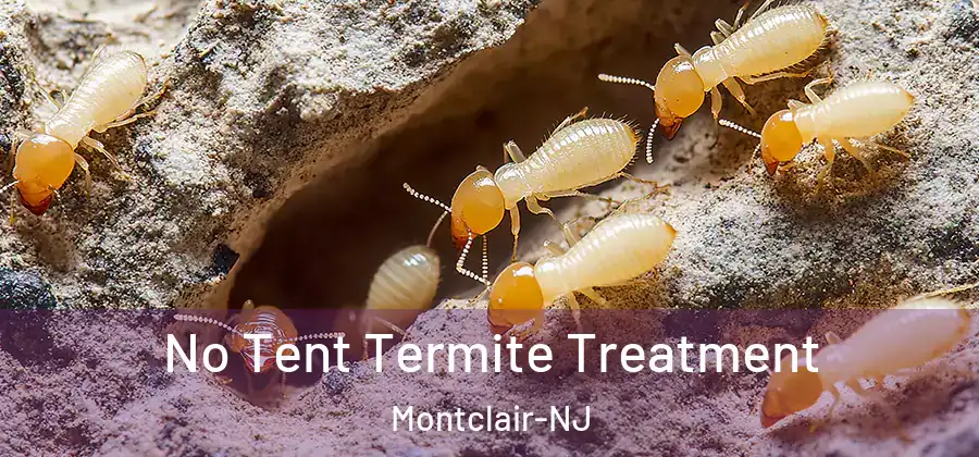 No Tent Termite Treatment Montclair-NJ