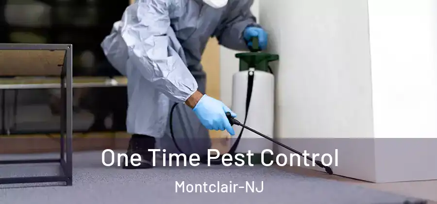  One Time Pest Control Montclair-NJ