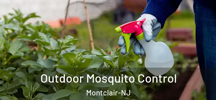  Outdoor Mosquito Control Montclair-NJ