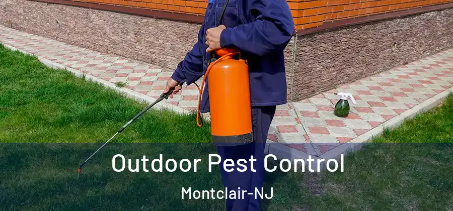 Outdoor Pest Control Montclair-NJ