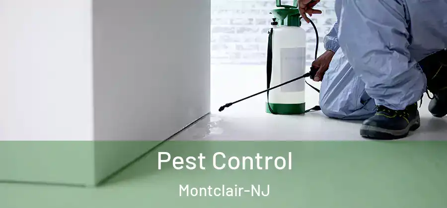 Pest Control Montclair-NJ