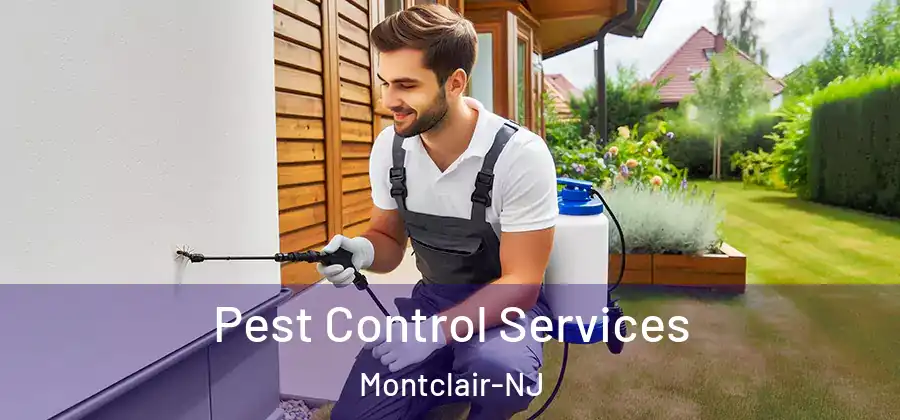 Pest Control Services Montclair-NJ