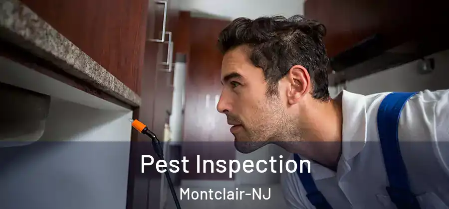 Pest Inspection Montclair-NJ