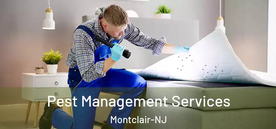  Pest Management Services Montclair-NJ