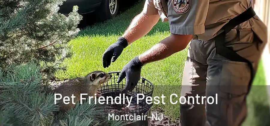  Pet Friendly Pest Control Montclair-NJ