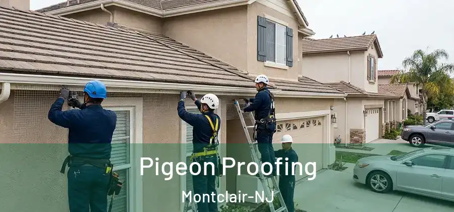 Pigeon Proofing Montclair-NJ