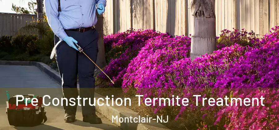  Pre Construction Termite Treatment Montclair-NJ