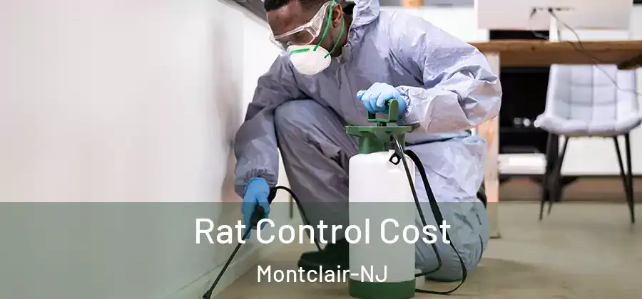 Rat Control Cost Montclair-NJ