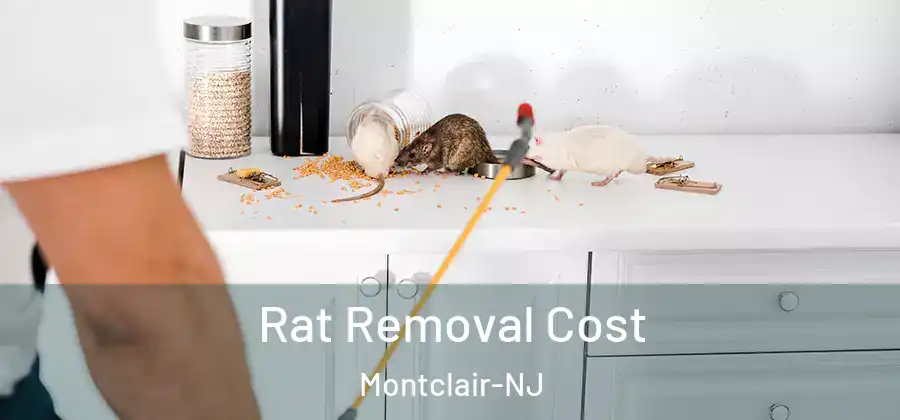 Rat Removal Cost Montclair-NJ
