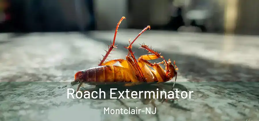 Roach Exterminator Montclair-NJ