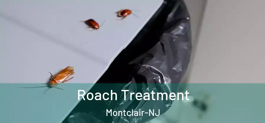  Roach Treatment Montclair-NJ