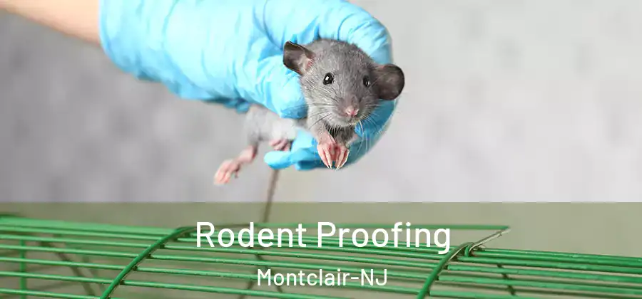 Rodent Proofing Montclair-NJ