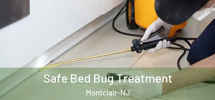  Safe Bed Bug Treatment Montclair-NJ