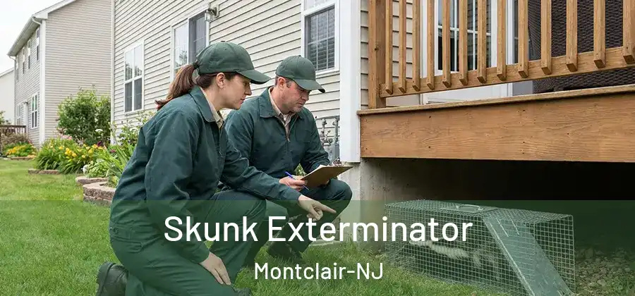  Skunk Exterminator Montclair-NJ