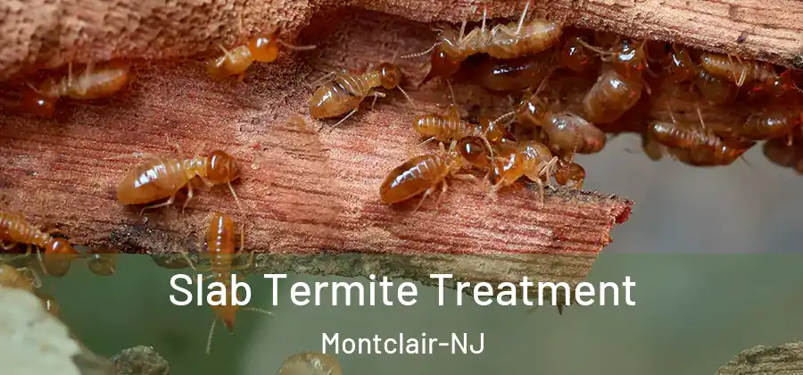  Slab Termite Treatment Montclair-NJ