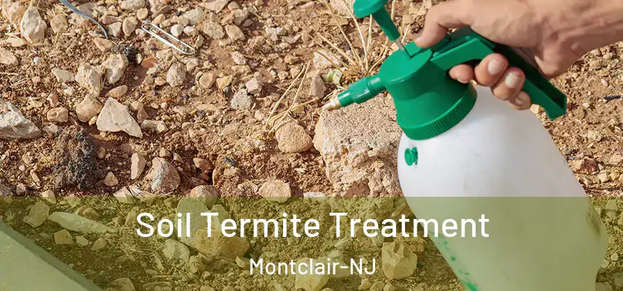  Soil Termite Treatment Montclair-NJ