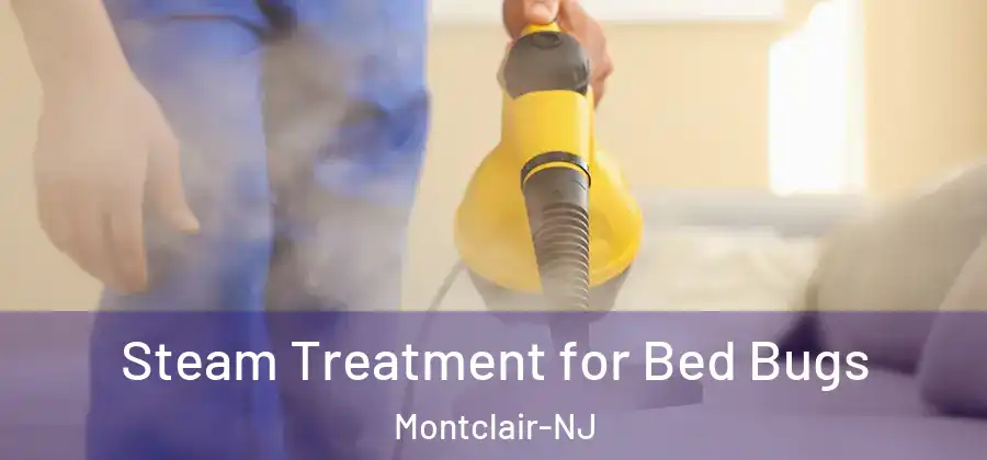  Steam Treatment for Bed Bugs Montclair-NJ