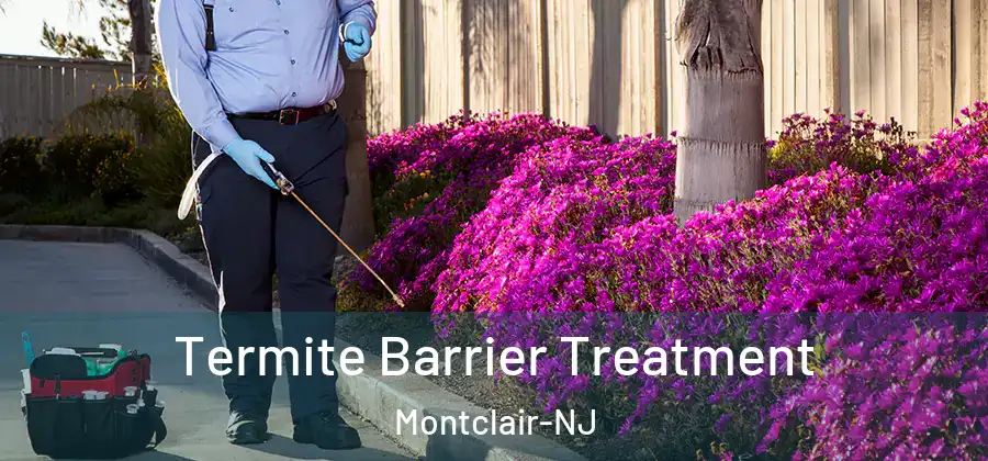  Termite Barrier Treatment Montclair-NJ