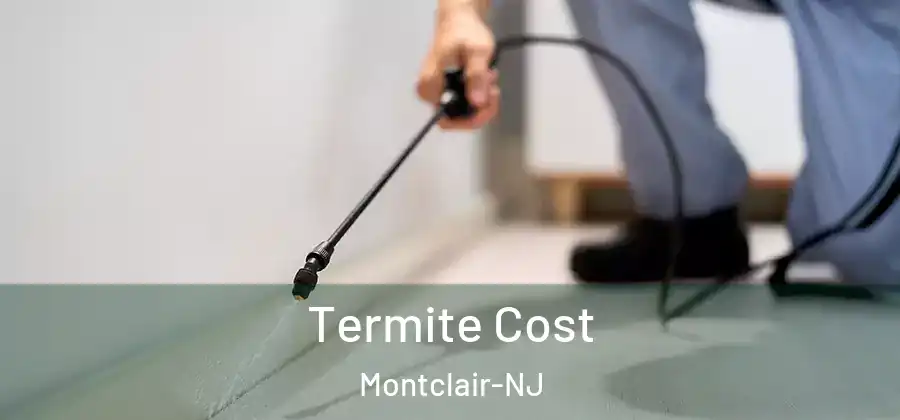Termite Cost Montclair-NJ