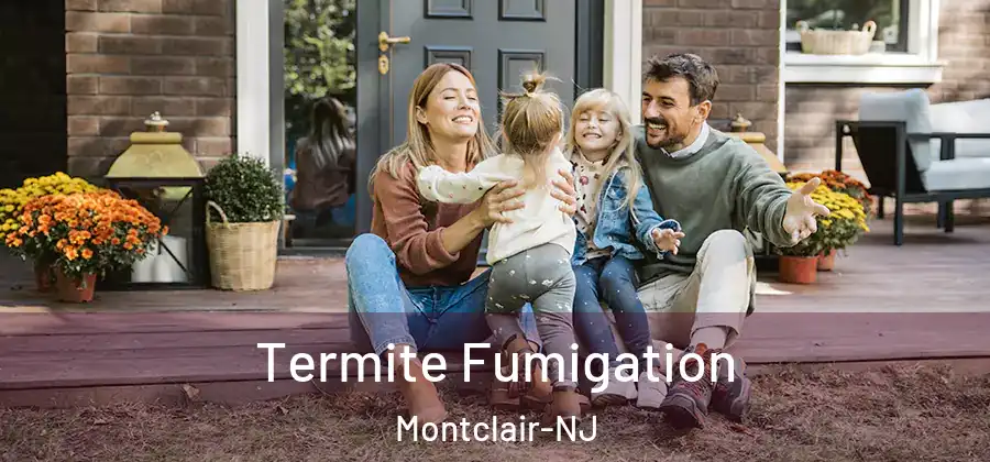 Termite Fumigation Montclair-NJ