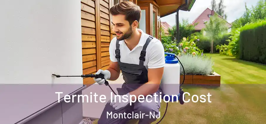  Termite Inspection Cost Montclair-NJ