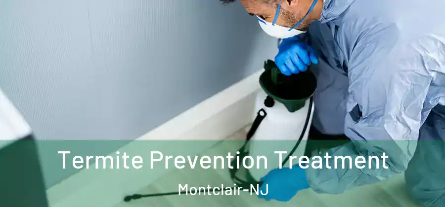  Termite Prevention Treatment Montclair-NJ