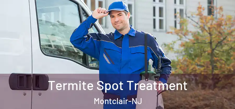  Termite Spot Treatment Montclair-NJ
