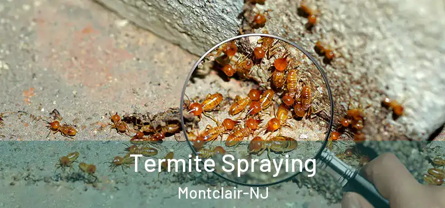  Termite Spraying Montclair-NJ