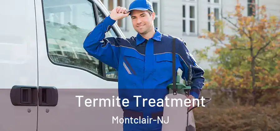  Termite Treatment Montclair-NJ