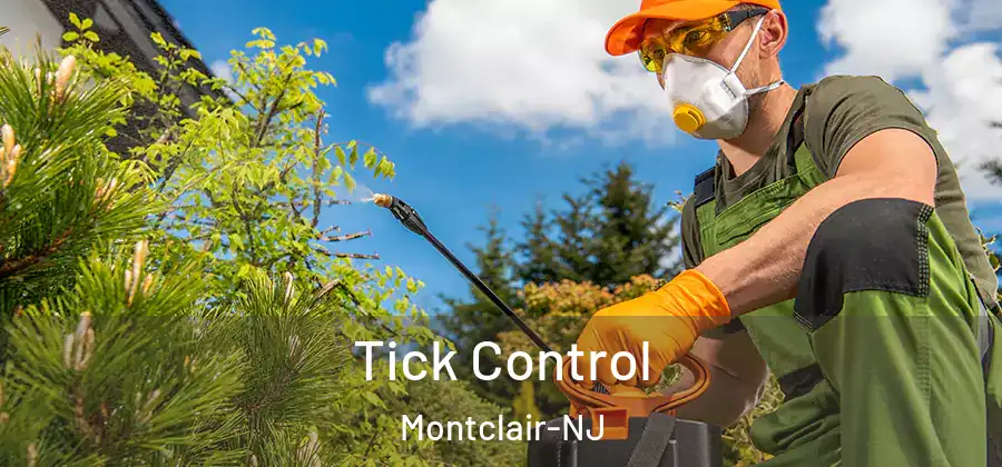 Tick Control Montclair-NJ