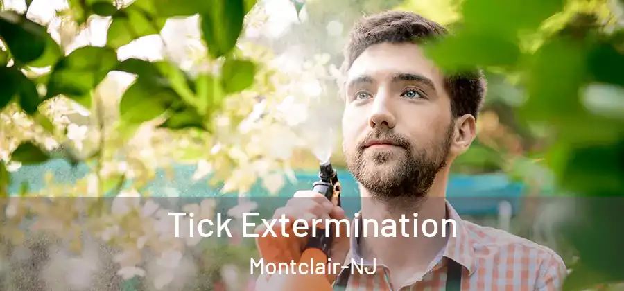  Tick Extermination Montclair-NJ