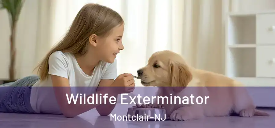  Wildlife Exterminator Montclair-NJ