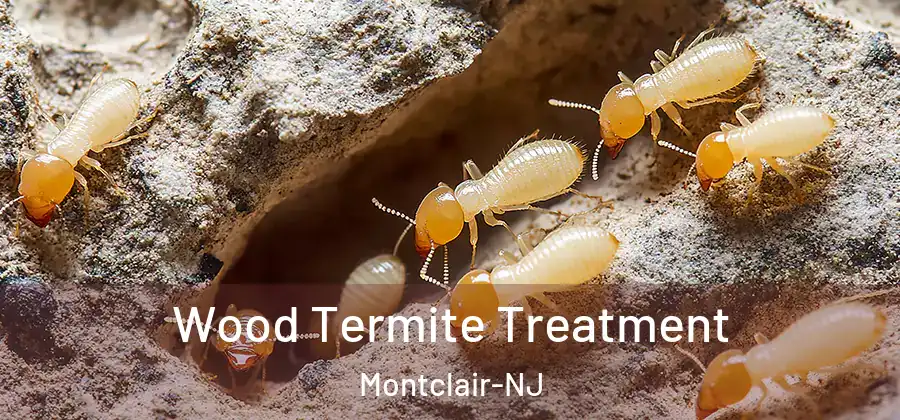 Wood Termite Treatment Montclair-NJ