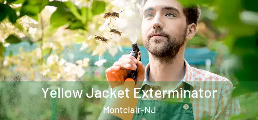 Yellow Jacket Exterminator Montclair-NJ